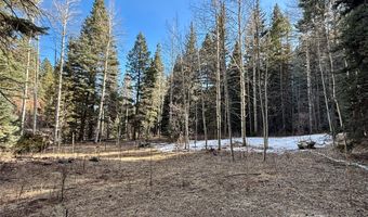 705 NM-120, Angel Fire, NM 87710