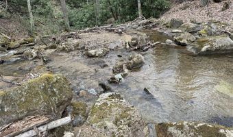 62 Acres Buckeye Ridge Rd, Beech Mountain, NC 28604