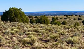 River Meadows Ranch Unit 3 Lot 204, Concho, AZ 85924