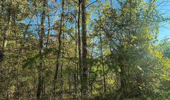 11 SE Wilson St, Attalla, AL 35954