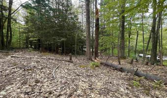 Map 212 Lot 49 Durrell Mountain Road, Belmont, NH 03220