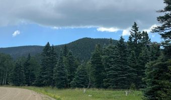 Elk Meadow Lot 82, Angel Fire, NM 87710