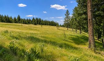 NNA Sangster Rd, Anatone, WA 99401
