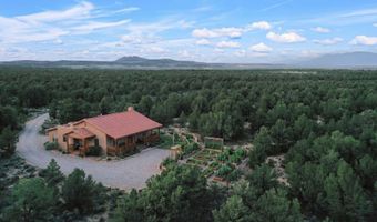 S Carson Road 39 Acres, Carson, NM 87517