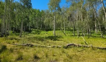 40 Acres Summit Mountain Rd, Brian Head, UT 84719