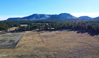 3 County Road N2261, Alpine, AZ 85920