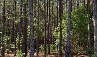 Pollett Road lot 29, Bartow, GA 30413