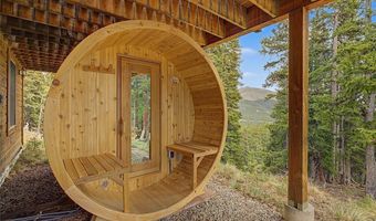 62 Lazy Rex Rd, Alma, CO 80440