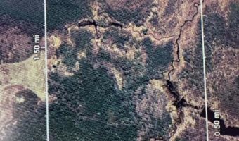 Lot 13 off big ridge Road, Addison, ME 04606