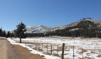 156 Golden Forest Rd, Bayfield, CO 81122