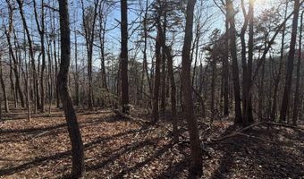 OLD STONY RIDGE RD lot 7, Afton, VA 22920
