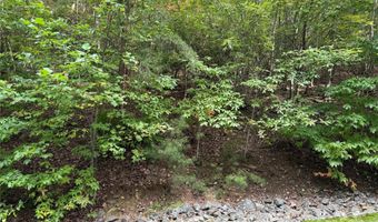 1029 Chippawa Dr 67, Arden, NC 28704