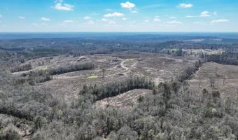 919 County Road 6628, Banks, AL 36005