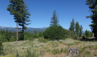 Skunk Creek Road, Cascade, ID 83611