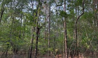 Airport Rd, Bastrop, LA 71220