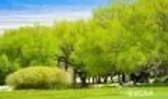 1090 W Cherry Creek Rd, Ely, NV 89301