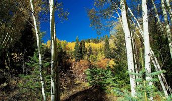 1 The Ranch At Angel Fire, Angel Fire, NM 87710