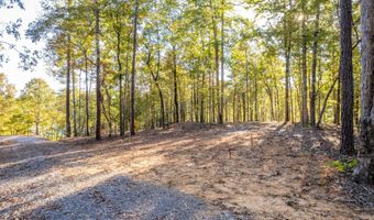 LOT 1 ROCK RIDGE SUBDIVISION, Arley, AL 35541