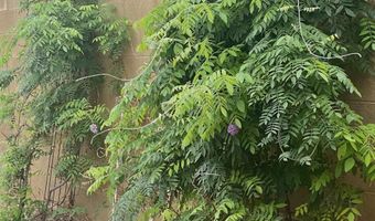 1905 Villa Dr, Artesia, NM 88210