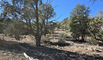 133 Arizona Rd, Ash Fork, AZ 86320