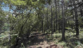 29 Ac Silo Rd, Altoona, AL 35952