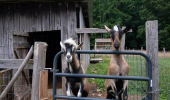 5144 Judson Rd, Alderson, WV 24910