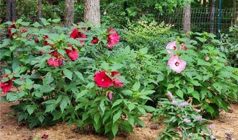 110 Whippoorwill Cir, Athens, GA 30605