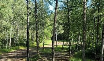 Samuelson Road-Sec22, Angora, MN 55703