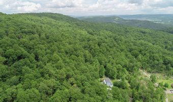590 BEARFOOT, Accident, MD 21520