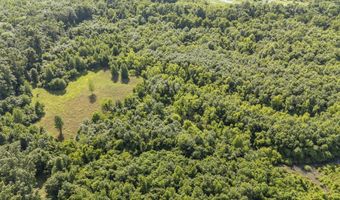 22 Hwy, Adamsville, TN 38310