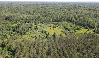 2254 E M30, Alger, MI 48610