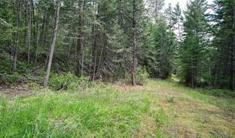 Nhn US Hwy 93, Big Arm, MT 59910