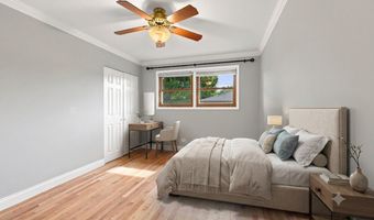 1113 S Haddow Ave, Arlington Heights, IL 60005