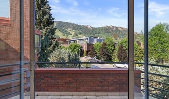 208 S Spring St #1, Aspen, CO 81611
