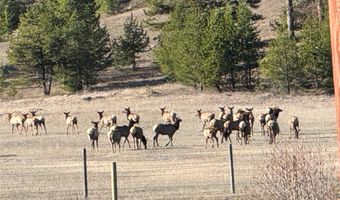 31850 Yearling Run, Alberton, MT 59820