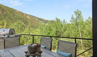257 MOUNTAIN LAUREL Dr, Aspen, CO 81611