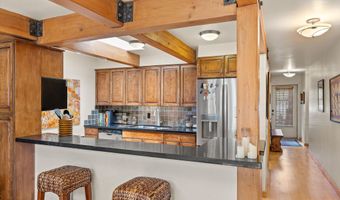 124 W Hyman Ave 3B, Aspen, CO 81611