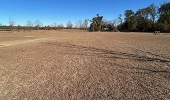 2807 Briarwood Rd, Abbeville, GA 31001