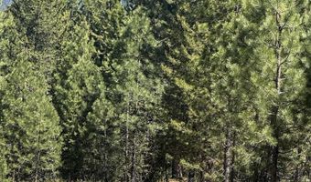 Saddle Rock Dr, Cascade, ID 83611