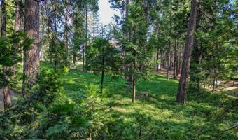 2393 Stephanie Dr, Arnold, CA 95223