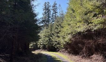 Steer Creek Rd, Blodgett, OR 97326