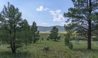 9 Buckskin Rd, Angel Fire, NM 87710