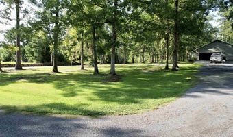 317 Wheeler Rd, Andrews, SC 29510