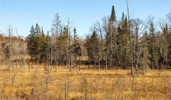 3851 Division St W, Backus, MN 56435