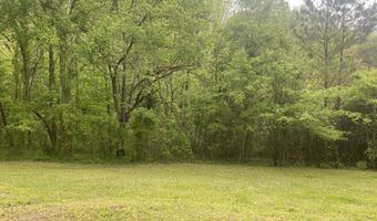 407 W Main St, Blue Mountain, MS 38610
