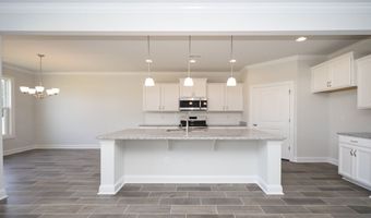 2095 Marietta Cir Plan: MADISON, Ash, NC 28420