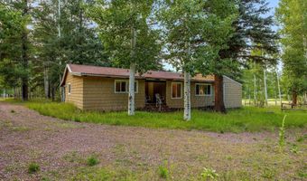 21 County Road 2043, Alpine, AZ 85920