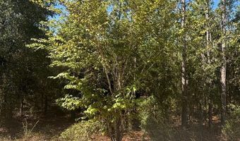 Lot 10 16th Ave, Bell, FL 32619