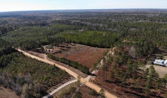 9030 HILLANDALE Dr, Auburn, AL 36830