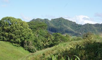 OLOHENA RD, Kapaa, HI 96746